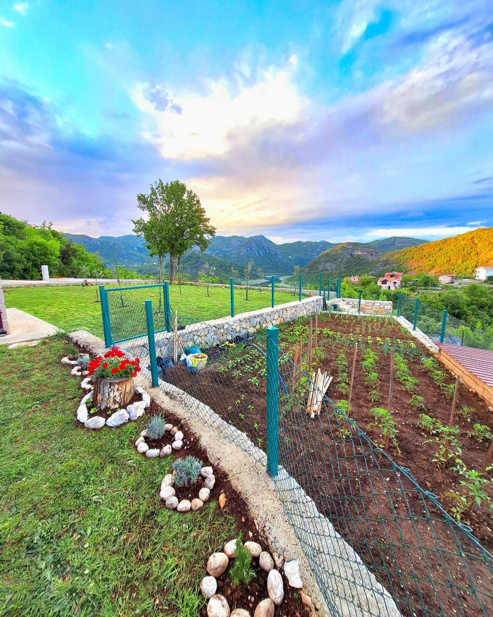 Sunny Side Apartments ริเยกาเซรโนเยวิชา ภายนอก รูปภาพ